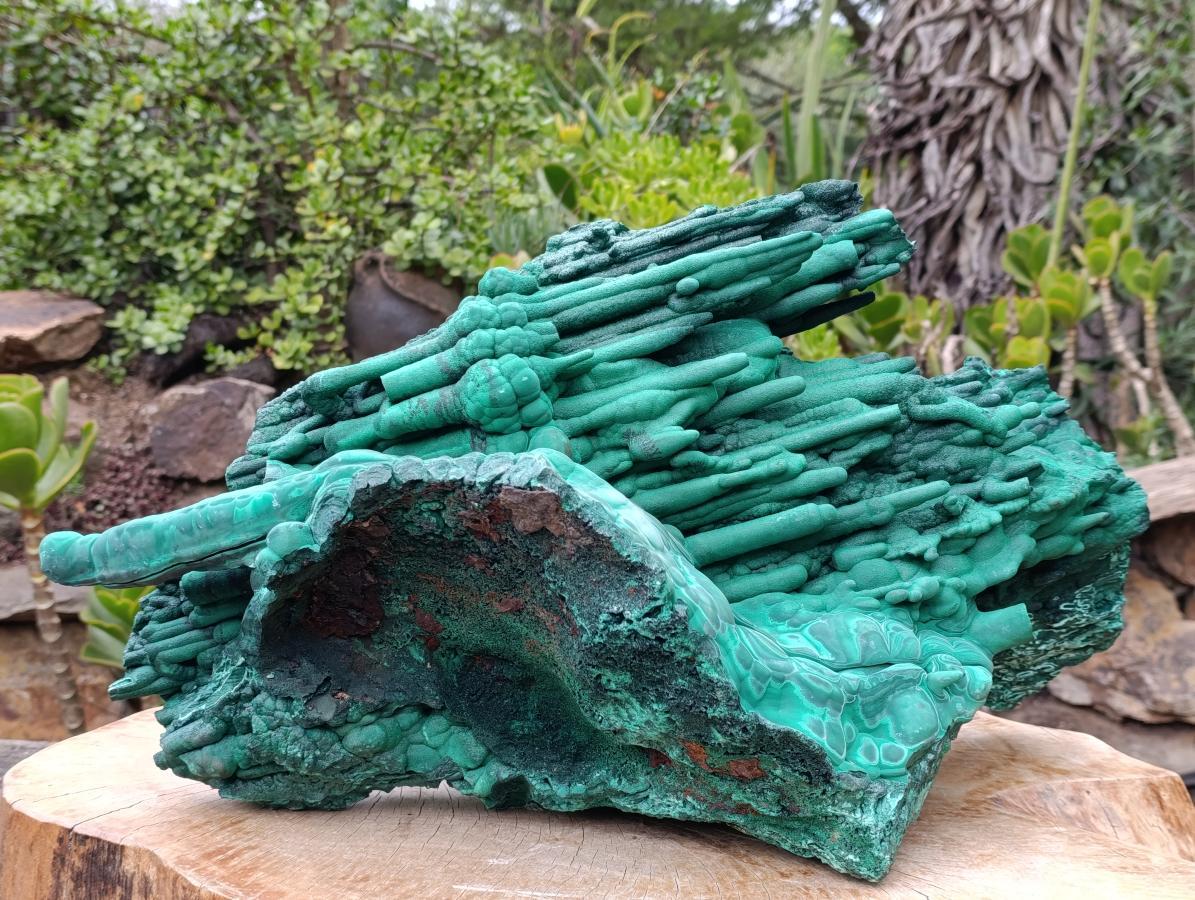 Museum Pieces and Antiques