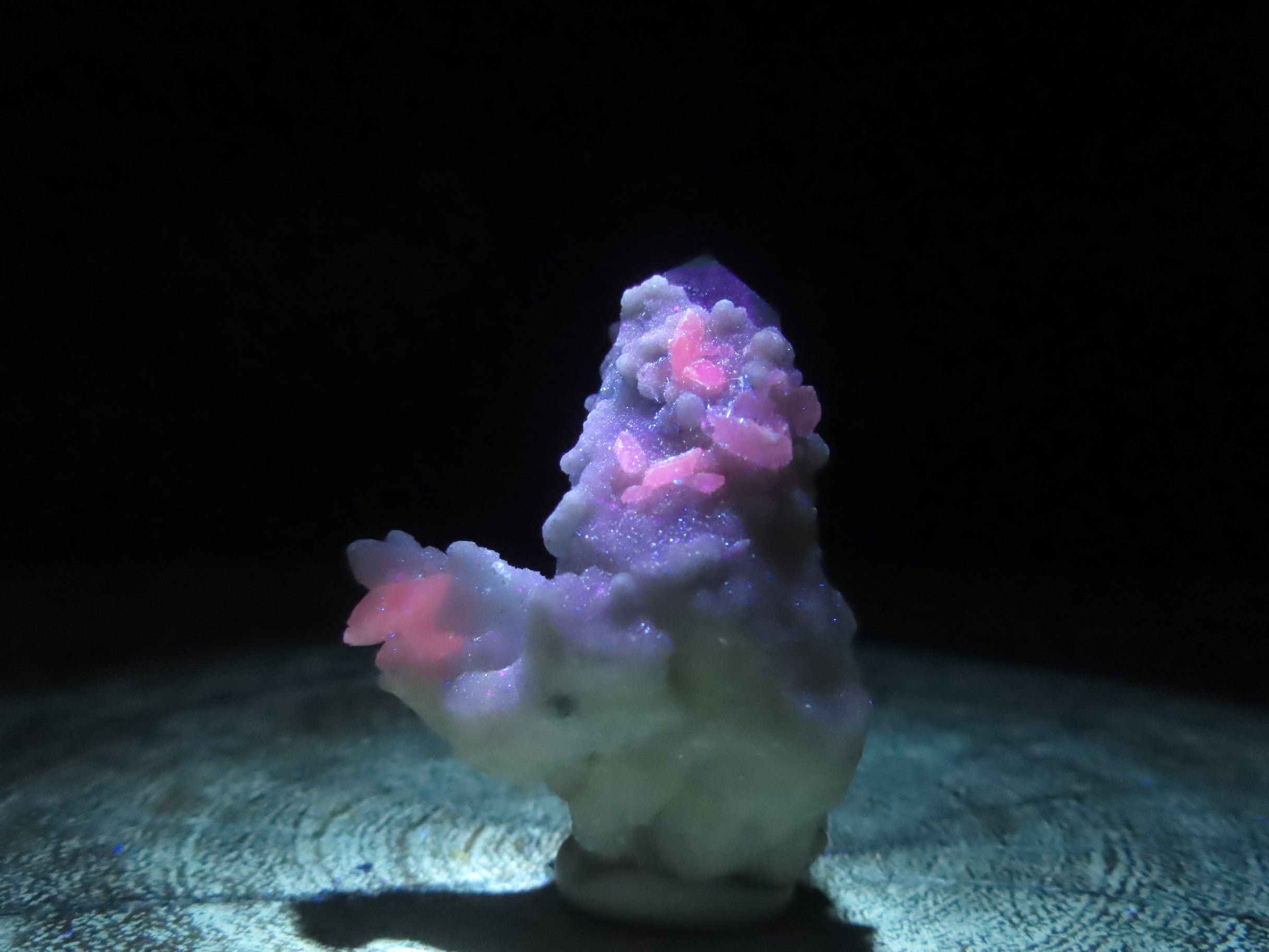 Rare and Ultra-Rare Collection