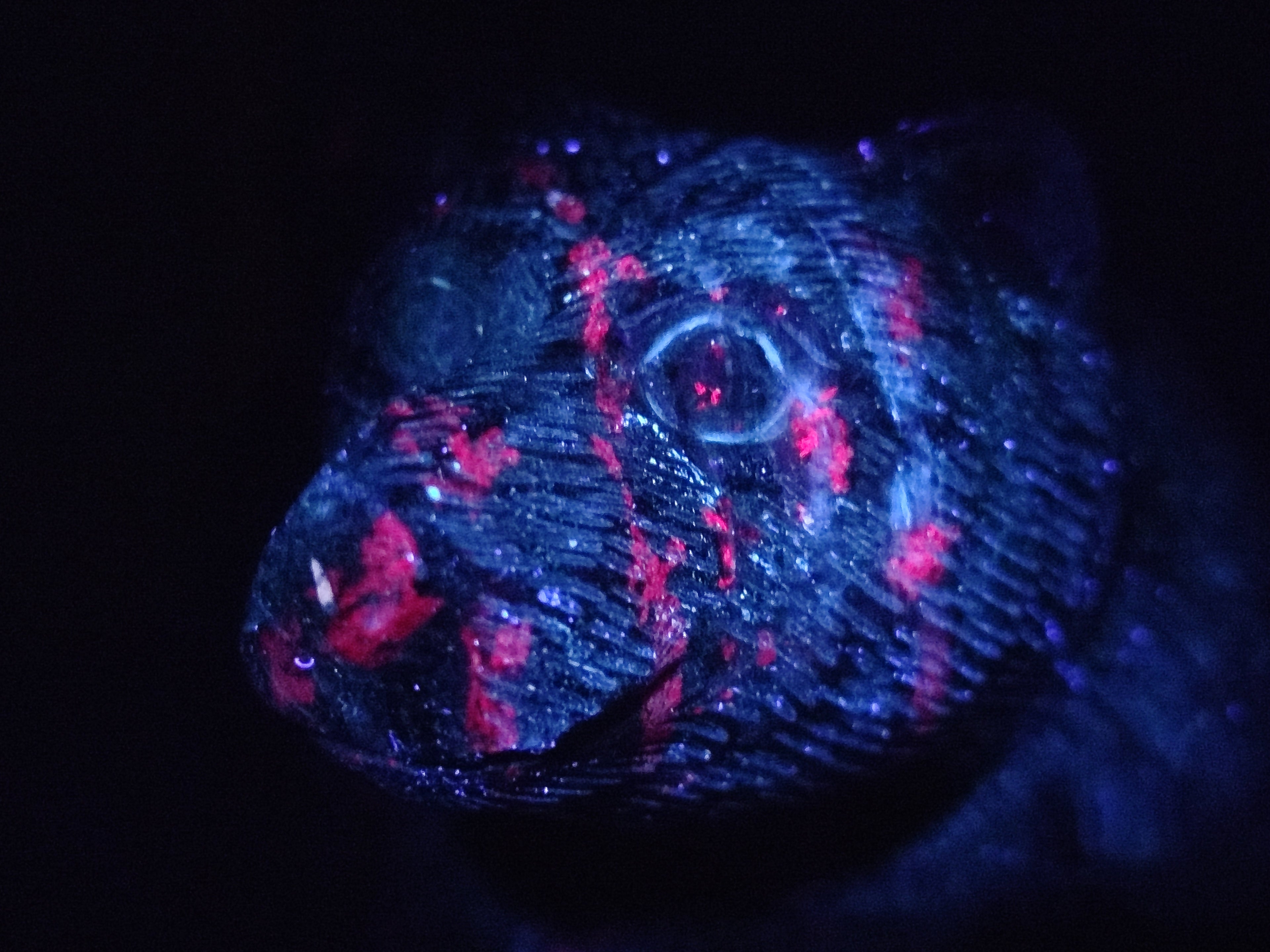 Polished Rare Hand Made Ruby Zoisite Mamma Bear and Cubs Carving x 1 From Tanzania