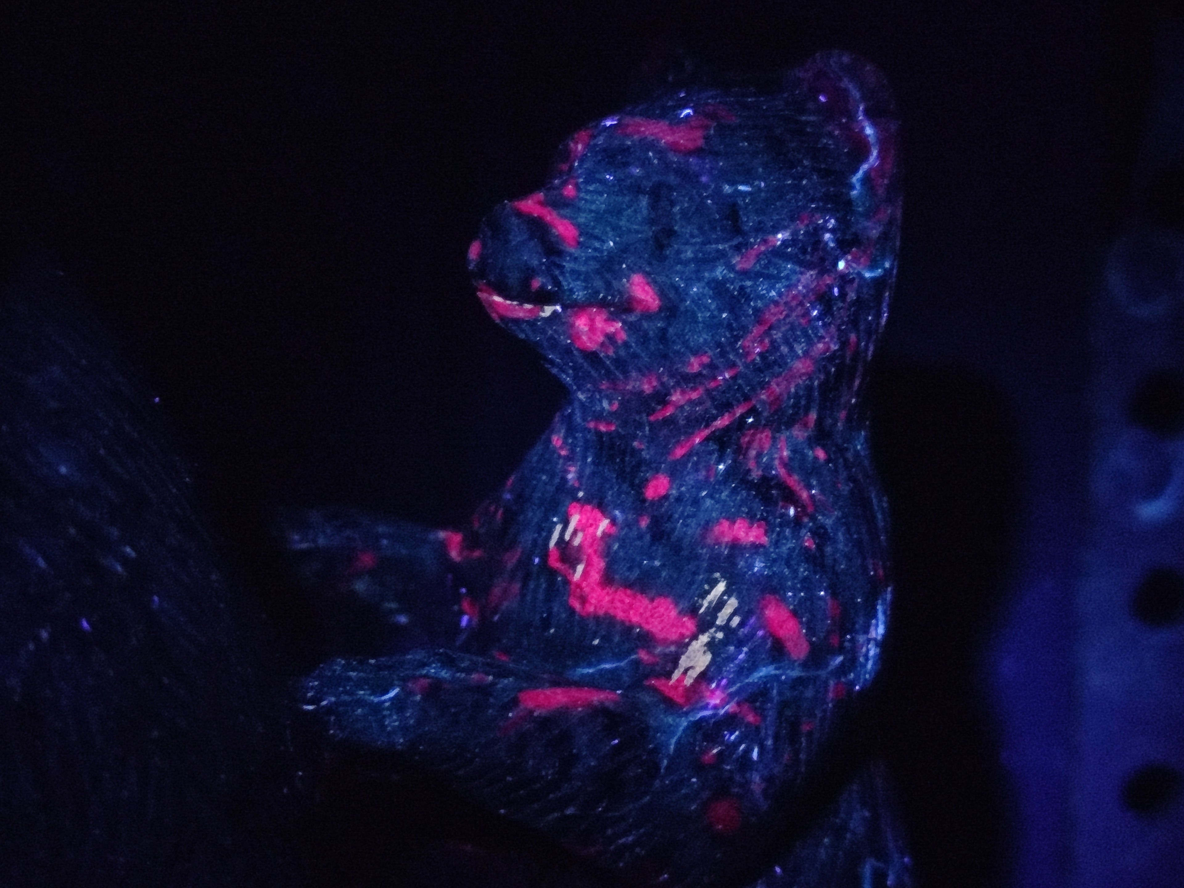 Polished Rare Hand Made Ruby Zoisite Mamma Bear and Cubs Carving x 1 From Tanzania