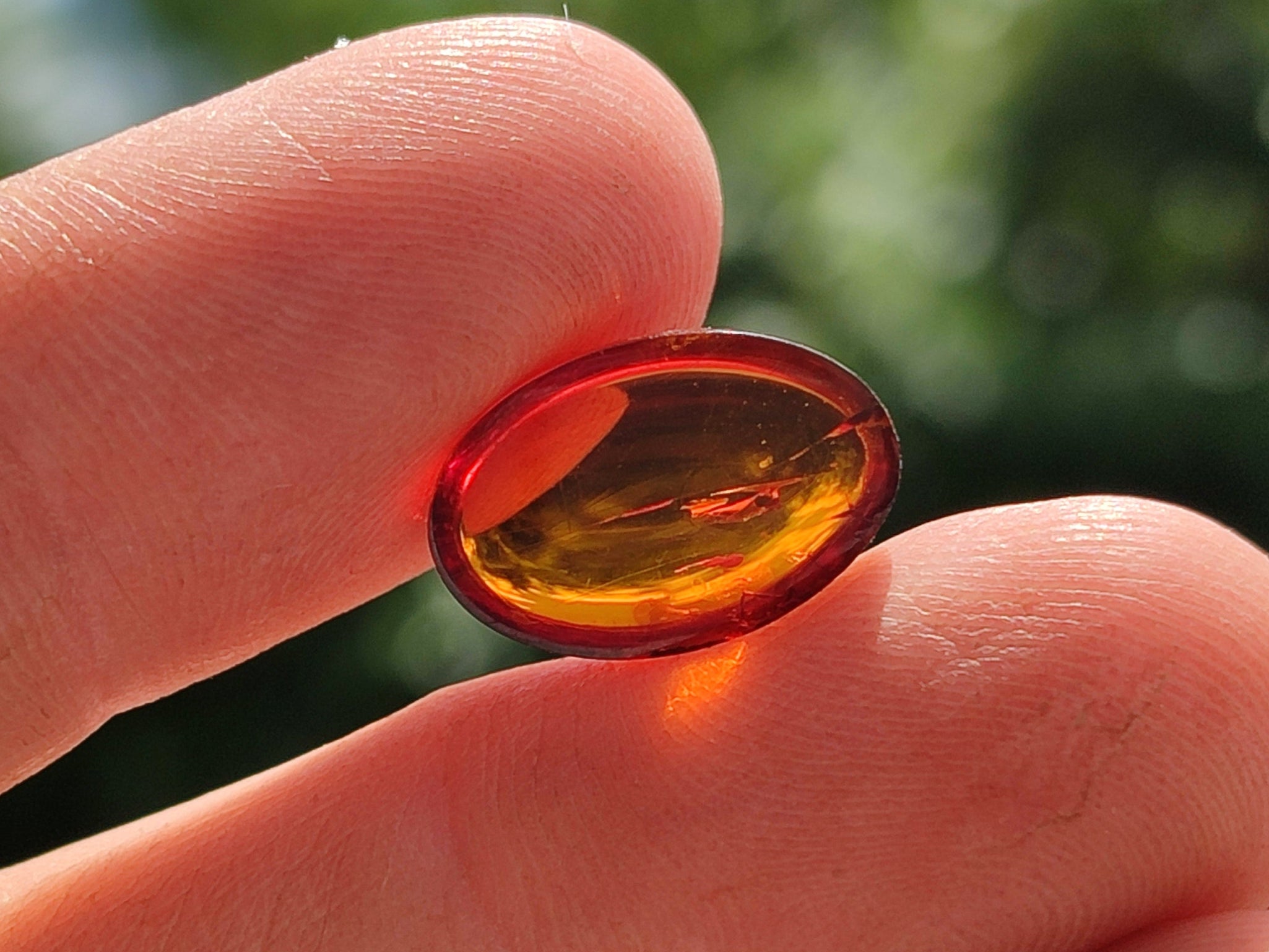 Polished Pair of Fossilised Baltic Amber Cabochons - Sold Per Pair - From Poland