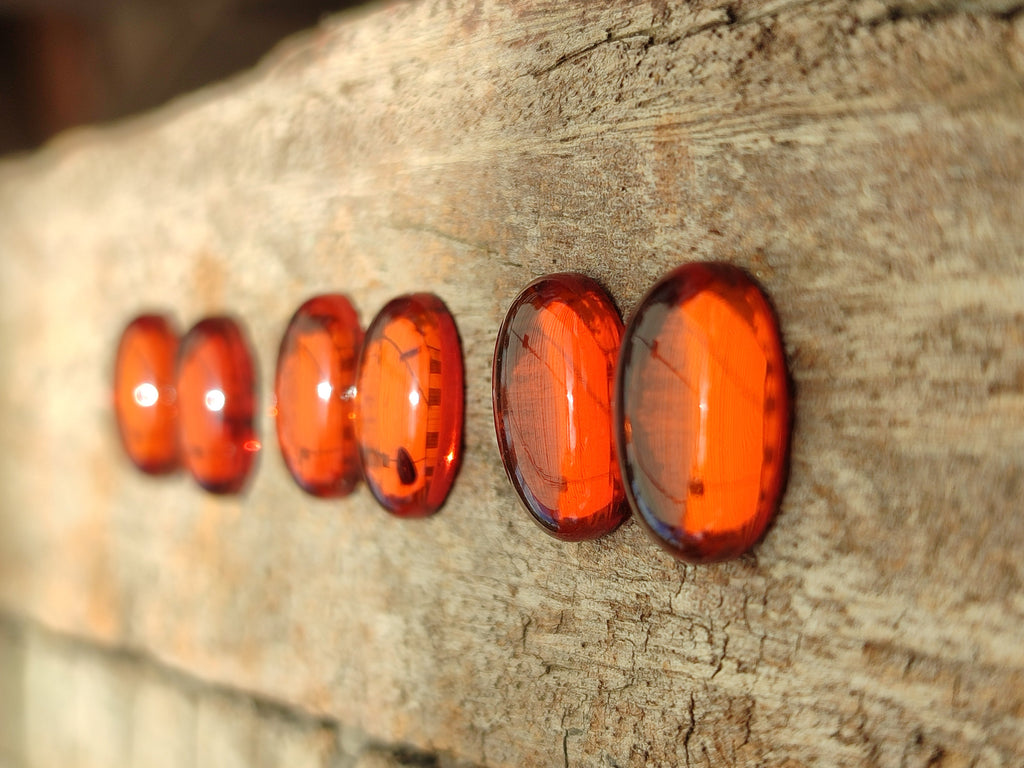Polished Pair of Fossilised Baltic Amber Cabochons - Sold Per Pair - From Poland