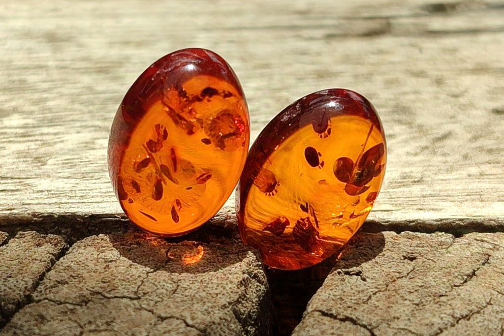Polished Pair of Fossilised Baltic Amber Cabochons - Sold Per Pair - From Poland
