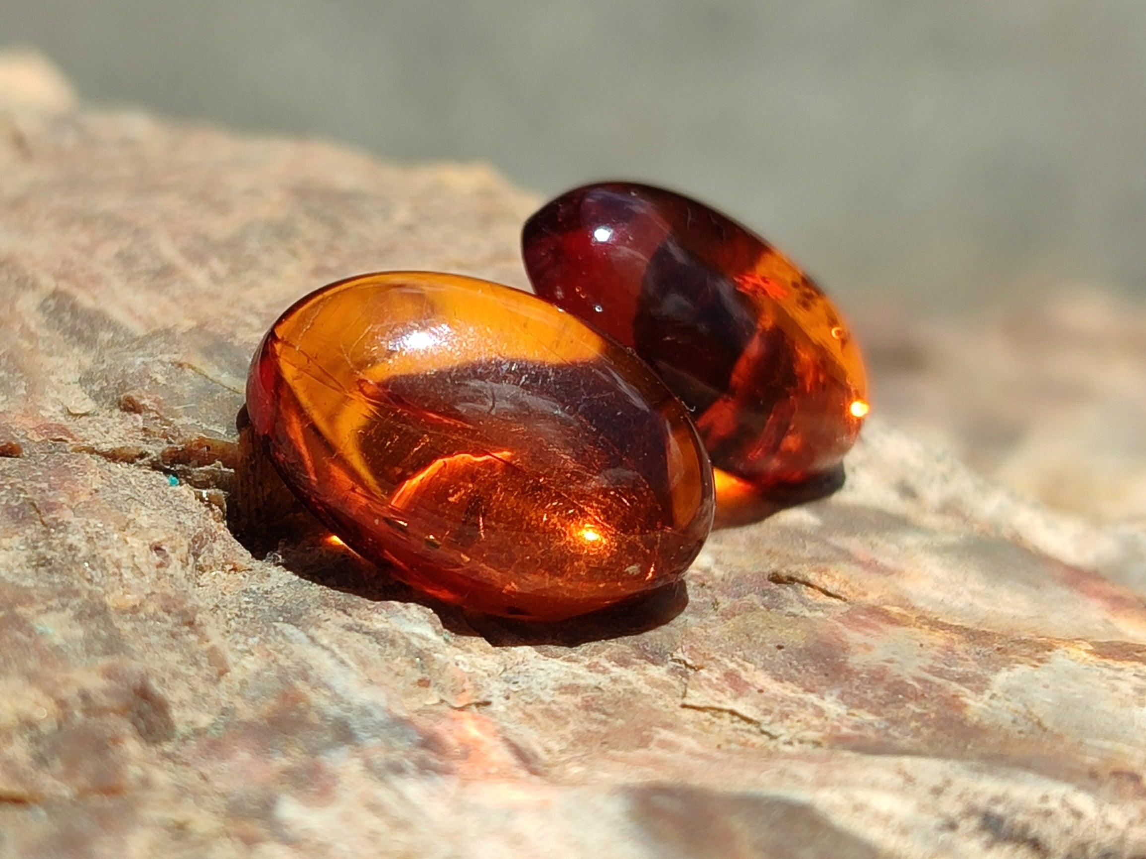 Polished Pair of Fossilised Baltic Amber Cabochons - Sold Per Pair - From Poland