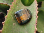 Polished Medium Blue and Gold Variegated Tigers Eye Tumble Stones - Sold Per 1 KG - From South Africa