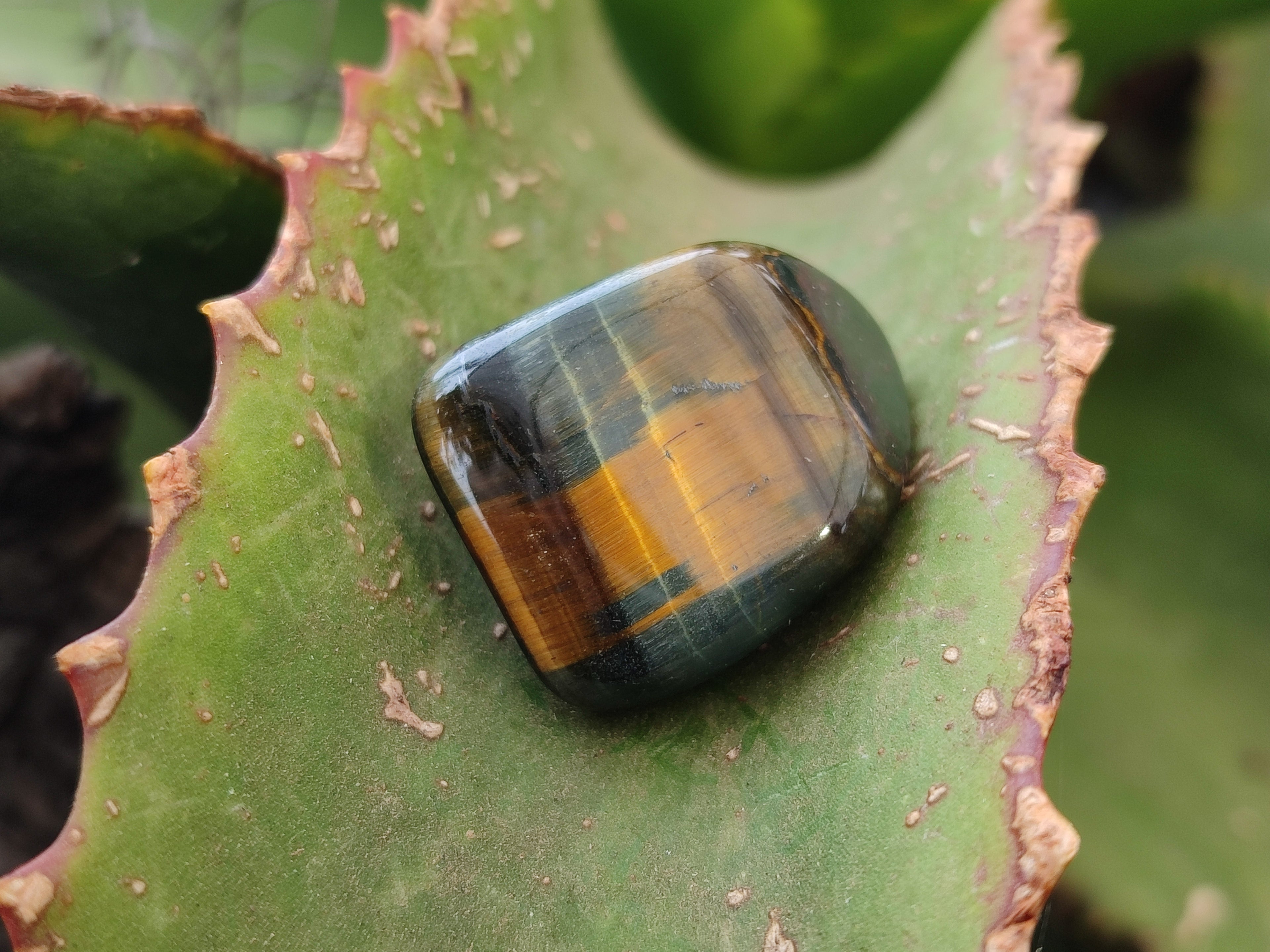 Polished Medium Blue and Gold Variegated Tigers Eye Tumble Stones - Sold Per 1 KG - From South Africa