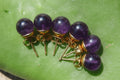 Hand Made Pair of Gemmy Dark Purple Amethyst Stud Earrings - Sold Per Pair - From Zambia