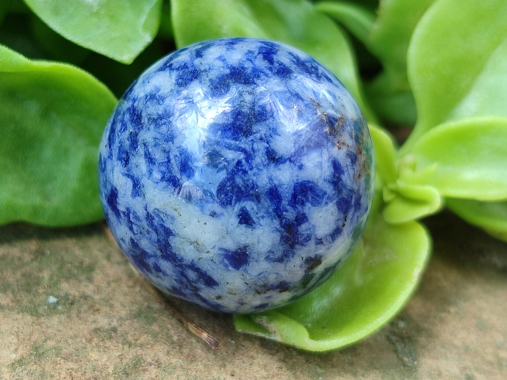 Polished Mixed Gift Box Set of 12 Mini Gemstone Spheres - Sold Per Set - From Southern Africa