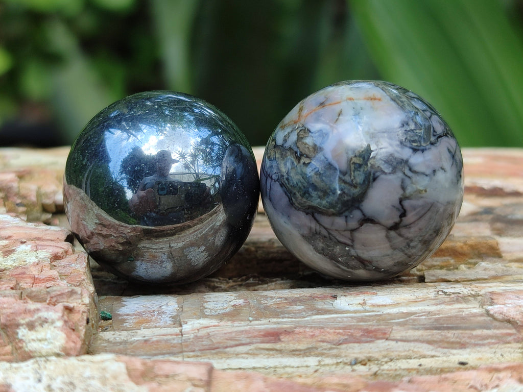Polished Mixed Gift Box Set of 12 Mini Gemstone Spheres - Sold Per Set - From Southern Africa
