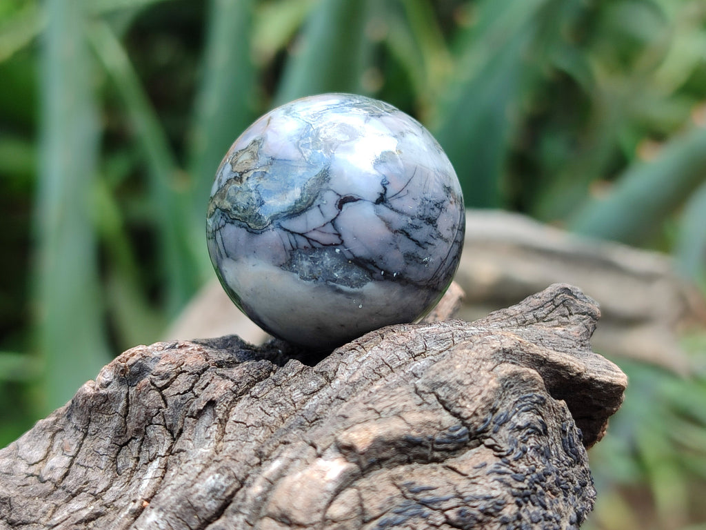 Polished Mixed Gift Box Set of 12 Mini Gemstone Spheres - Sold Per Set - From Southern Africa