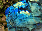 Polished Labradorite Standing Free Form x 1 From Tulear, Madagascar