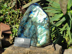 Polished Labradorite Standing Free Form x 1 From Tulear, Madagascar