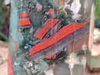 Polished Large Bloodstone Tower x 1 From Swaziland