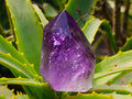 Polished Window Amethyst Crystal x 1 From Akansobe, Madagascar