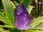 Polished Window Amethyst Crystal x 1 From Akansobe, Madagascar