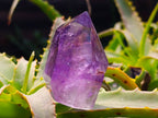 Polished Window Amethyst Crystal x 1 From Akansobe, Madagascar
