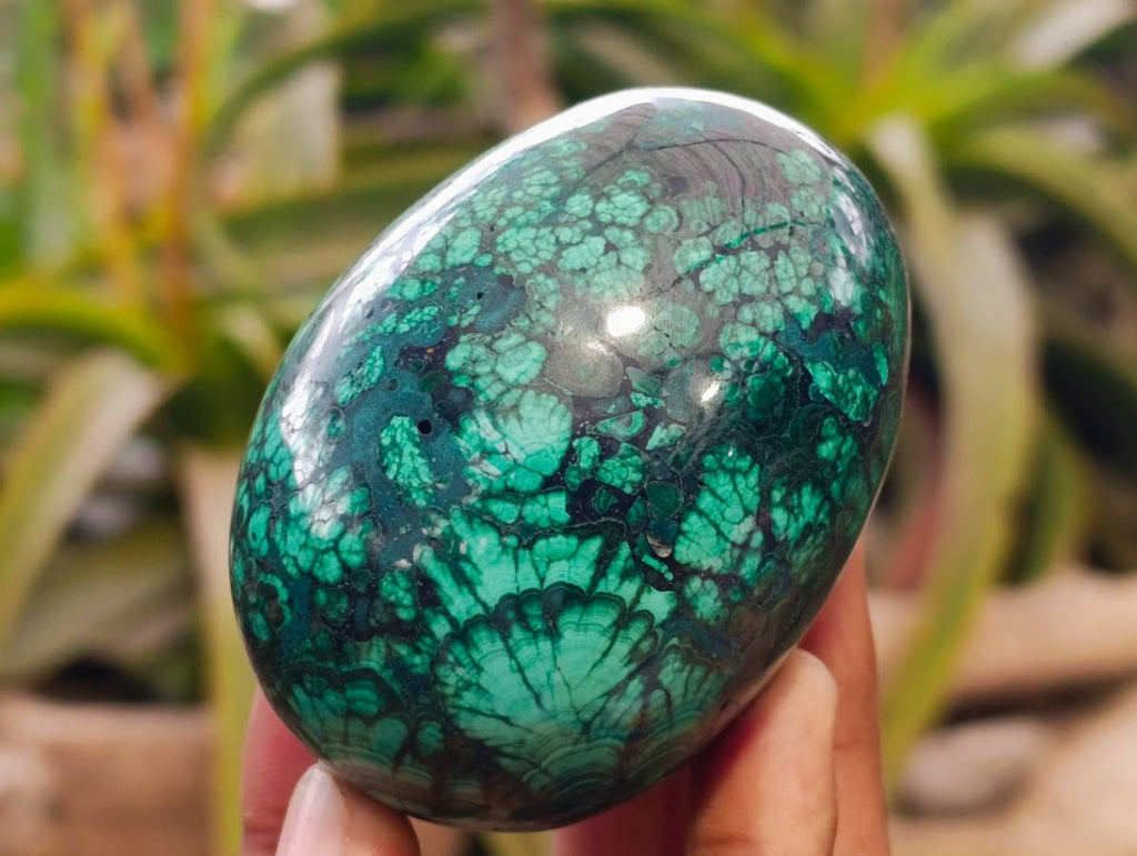 Polished Rare Extra Large Flower Banded Malachite Egg x 1 From Congo