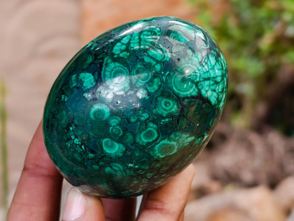 Polished Rare Extra Large Flower Banded Malachite Egg x 1 From Congo