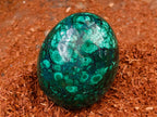 Polished Rare Extra Large Flower Banded Malachite Egg x 1 From Congo