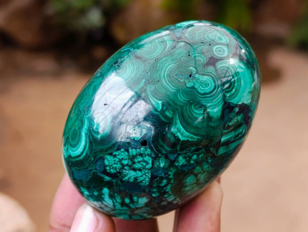 Polished Rare Extra Large Flower Banded Malachite Egg x 1 From Congo