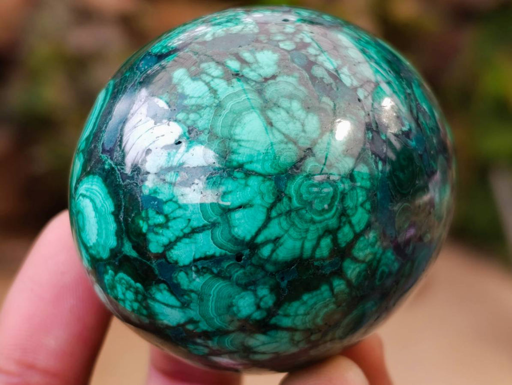Polished Rare Extra Large Flower Banded Malachite Egg x 1 From Congo