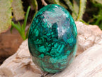 Polished Rare Extra Large Flower Banded Malachite Egg x 1 From Congo