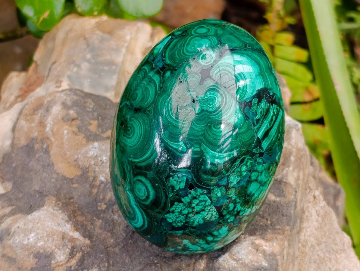 Polished Rare Extra Large Flower Banded Malachite Egg x 1 From Congo
