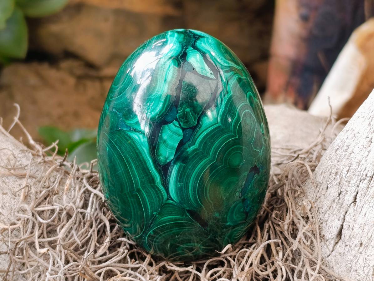 Polished Rare Extra Large Flower Banded Malachite Egg x 1 From Congo