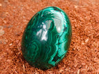 Polished Rare Extra Large Flower Banded Malachite Egg x 1 From Congo