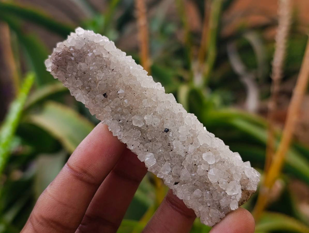 Natural Tabular Druzy Quartz Coated Lamular Calcite Crystal x 1 From Albert's Mountain, Lesotho