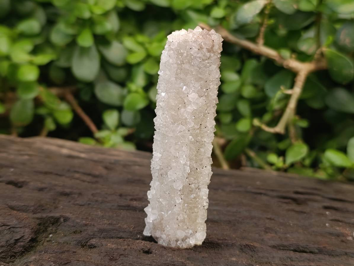 Natural Tabular Druzy Quartz Coated Lamular Calcite Crystal x 1 From Albert's Mountain, Lesotho