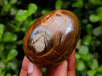 Polished Banded Iron Jasper Egg x 1 From Prieska, South Africa
