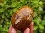 Polished Banded Iron Jasper Egg x 1 From Prieska, South Africa