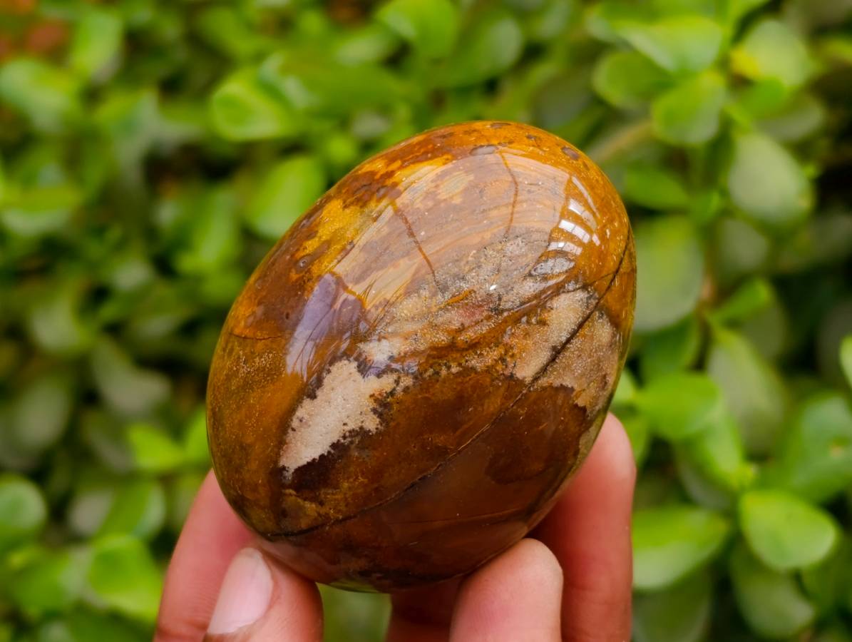 Polished Banded Iron Jasper Egg x 1 From Prieska, South Africa