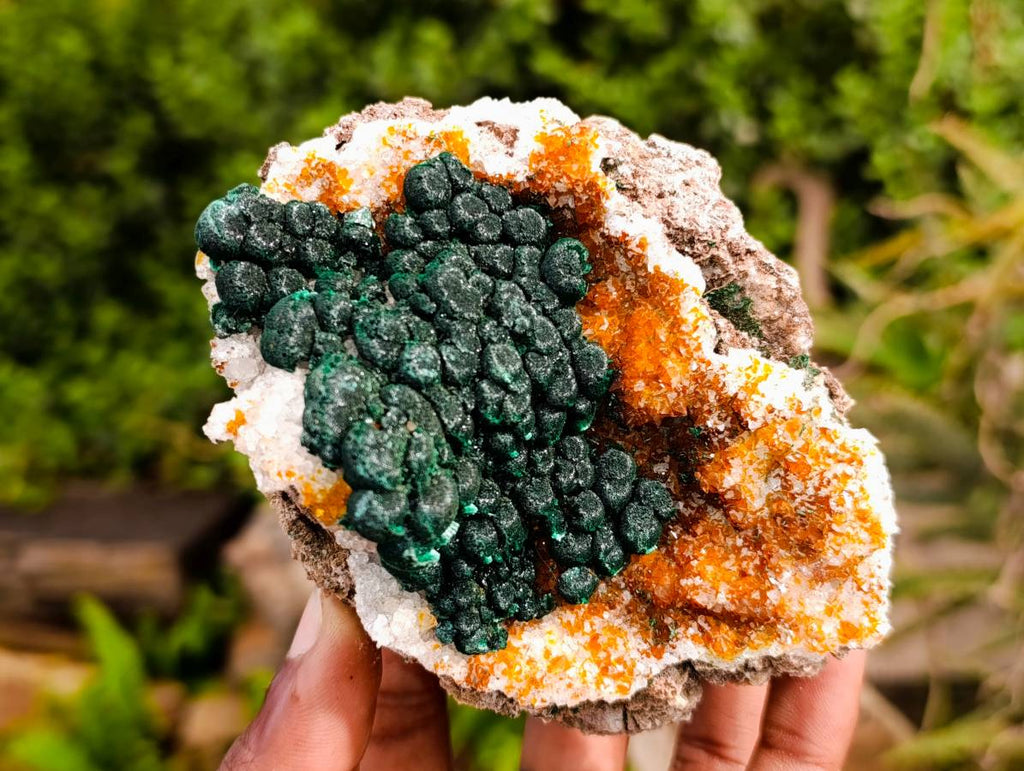 Natural Ball Malachite on Dolomite Matrix Specimen x 1 From Kambove, Congo