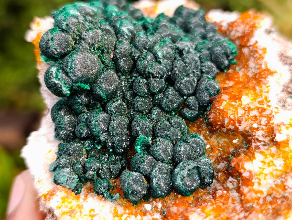 Natural Ball Malachite on Dolomite Matrix Specimen x 1 From Kambove, Congo