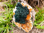 Natural Ball Malachite on Dolomite Matrix Specimen x 1 From Kambove, Congo