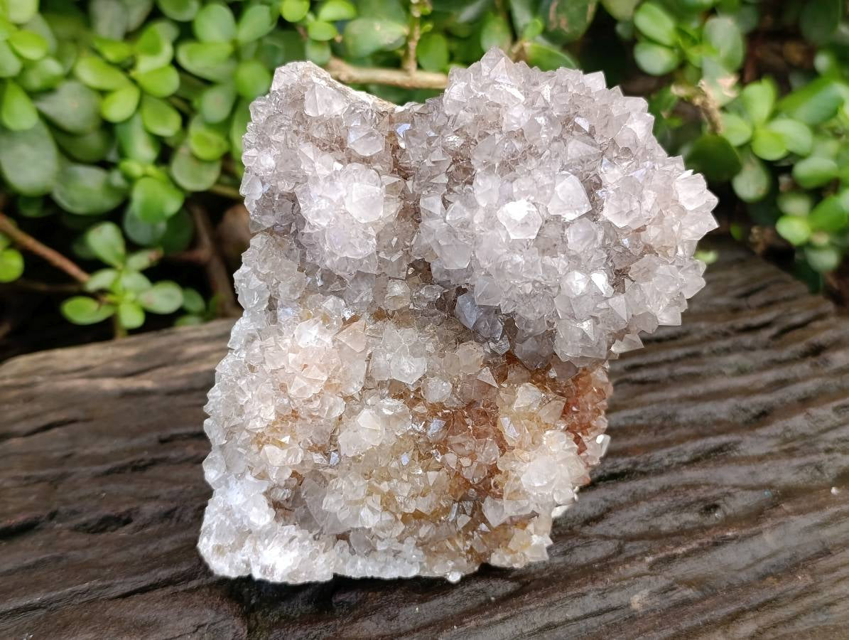 Natural Cactus Flower Smokey Spirit Quartz Cluster x 1 From South Africa