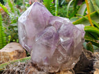 Polished XL Multi-Terminated Amethyst Window Quartz Cluster x 1 From Akansobe, Madagascar