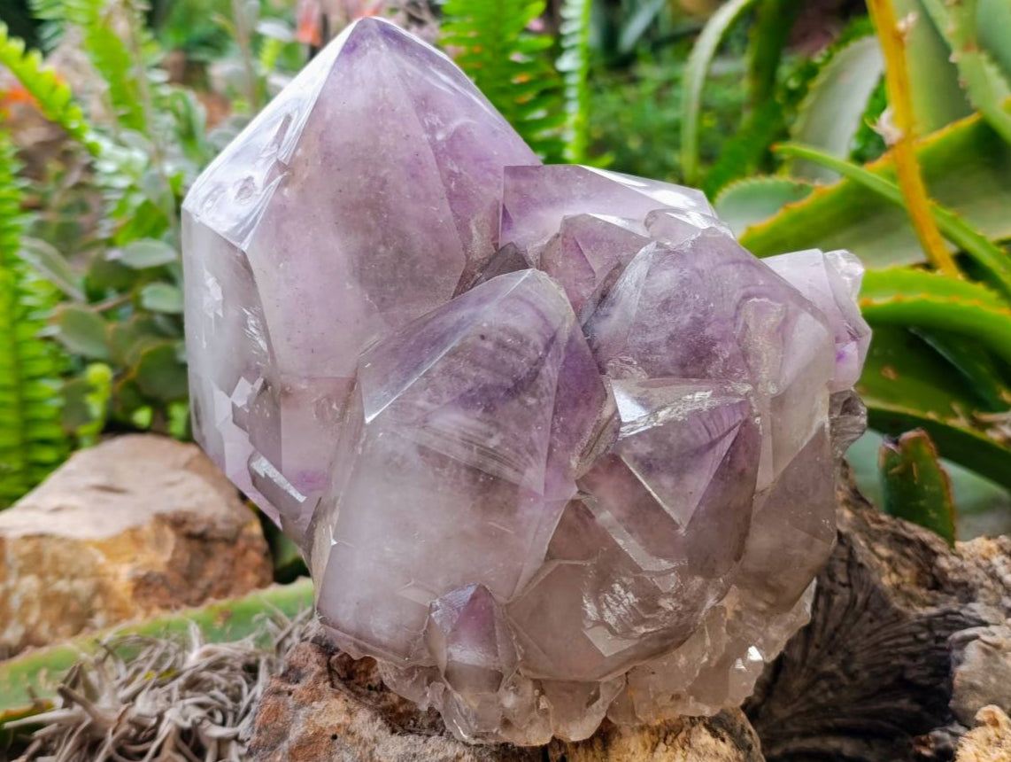 Polished XL Multi-Terminated Amethyst Window Quartz Cluster x 1 From Akansobe, Madagascar