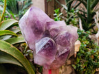 Polished XL Multi-Terminated Amethyst Window Quartz Cluster x 1 From Akansobe, Madagascar