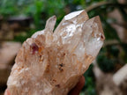 Natural Cascading Fan of Citrine Quartz Cluster x 1 From Luena, Congo