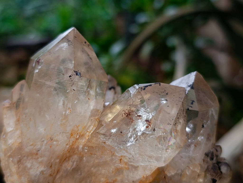 Natural Cascading Fan of Citrine Quartz Cluster x 1 From Luena, Congo