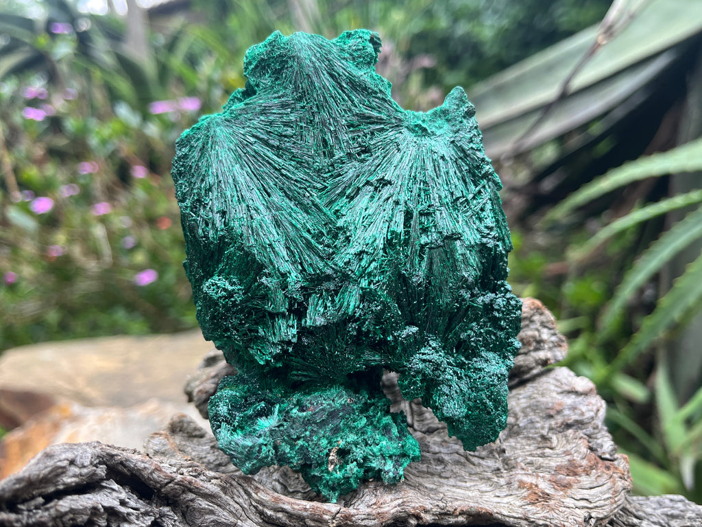 Natural Silky Malachite Specimen x 1 From Kasompe, Congo
