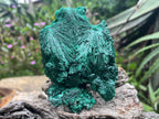Natural Silky Malachite Specimen x 1 From Kasompe, Congo