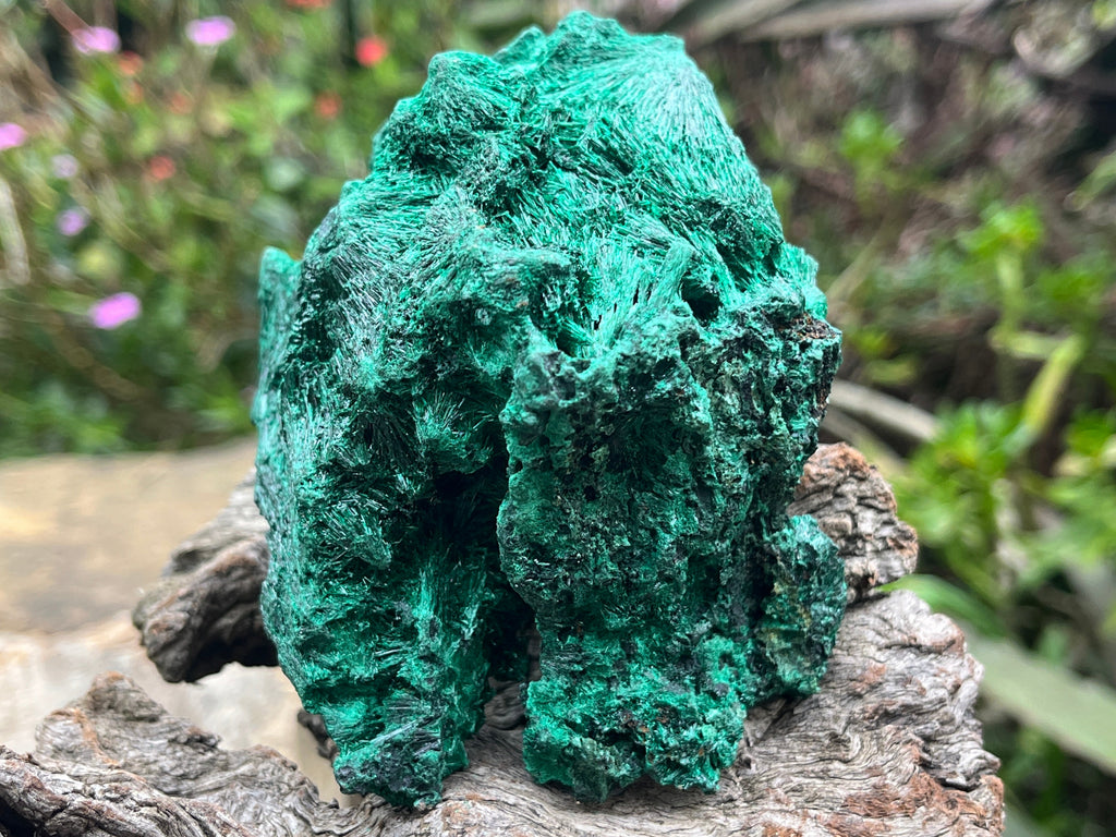 Natural Silky Malachite Specimen x 1 From Kasompe, Congo