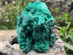Natural Silky Malachite Specimen x 1 From Kasompe, Congo
