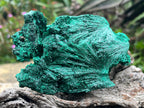 Natural Silky Malachite Specimen x 1 From Kasompe, Congo
