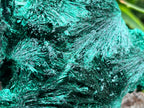 Natural Silky Malachite Specimen x 1 From Kasompe, Congo