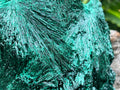 Natural Silky Malachite Specimen x 1 From Kasompe, Congo